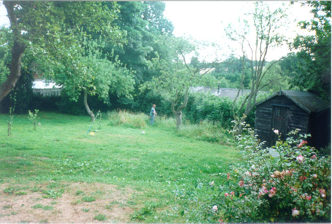 80