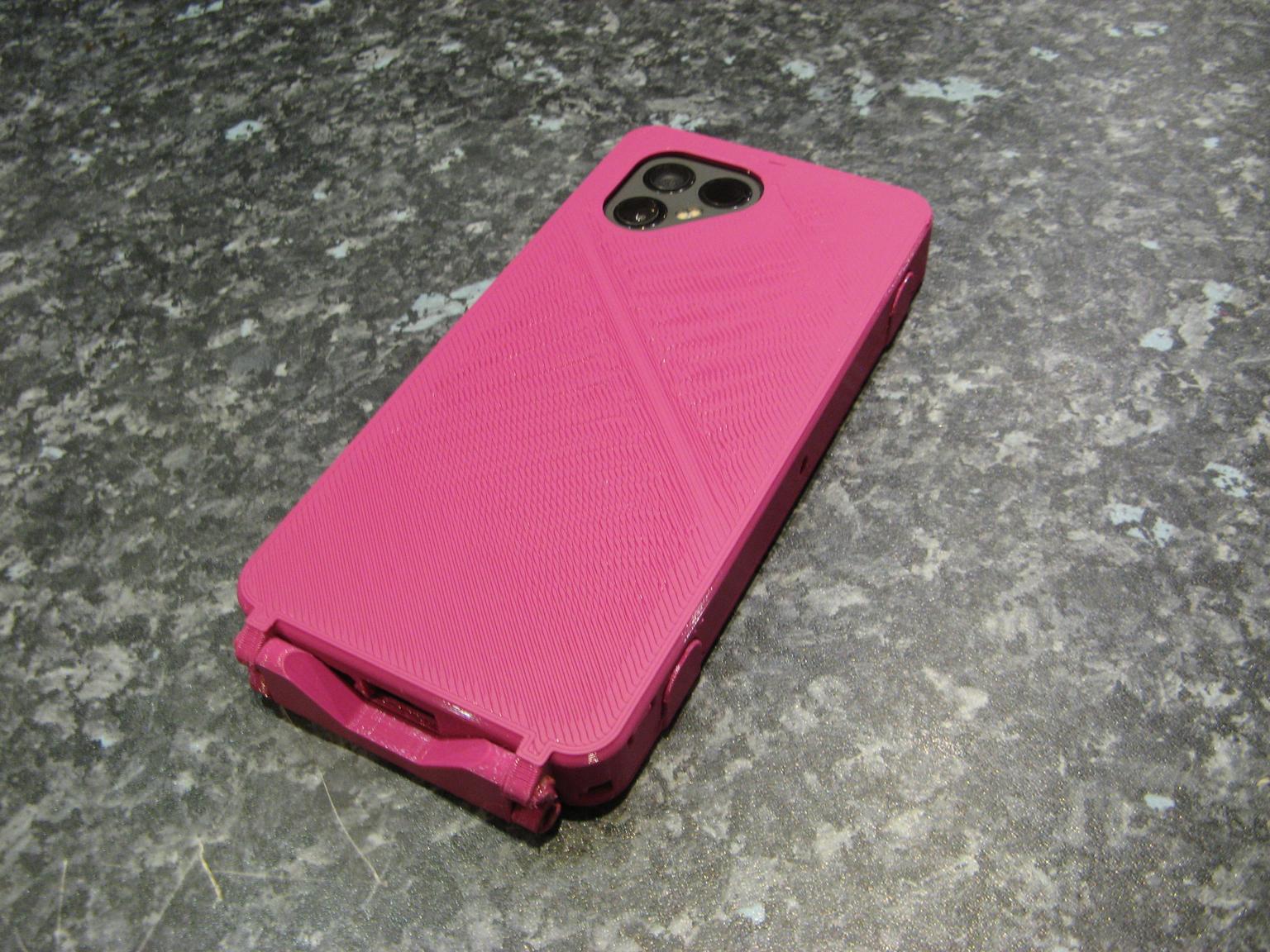 Case, rear view