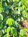 IMG_20230424_084223