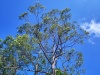 IMG_20230424_084410
