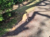 IMG_20230424_084937
