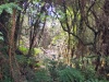IMG_20230424_094904