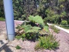 IMG_20230424_102000