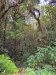 IMG_20230424_103035