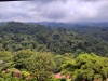 IMG_20230424_114738