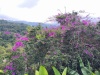 IMG_20230424_115411