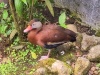 IMG_20230424_120519