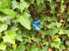 IMG_20230424_121438