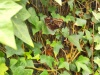 IMG_20230424_121454