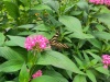 IMG_20230424_121613