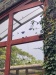 IMG_20230424_121851