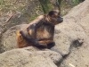 IMG_20230424_122302