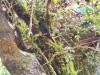 IMG_20230424_122617