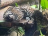 IMG_20230424_132656