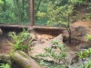 IMG_20230424_132823