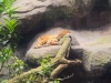 IMG_20230424_133024