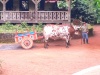 IMG_20230424_133726