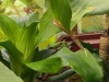 IMG_20230424_134225