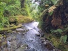 IMG_20230424_141346