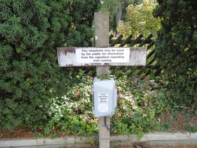 Armathwaite telephone and frog