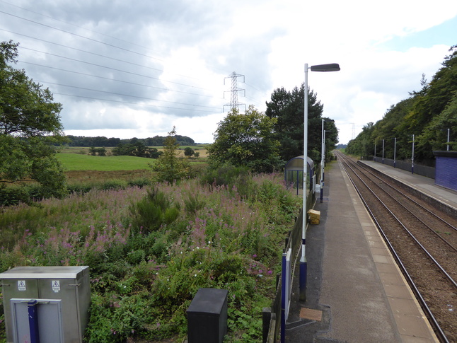 Brampton long view of
platform 2