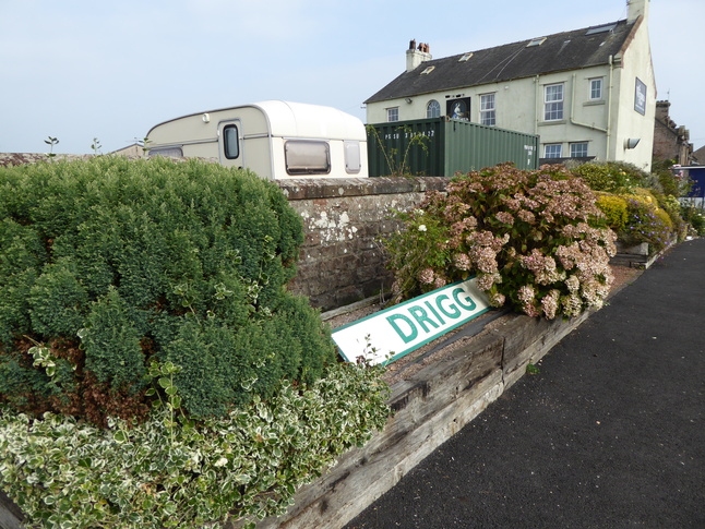 Drigg platform 1 planter