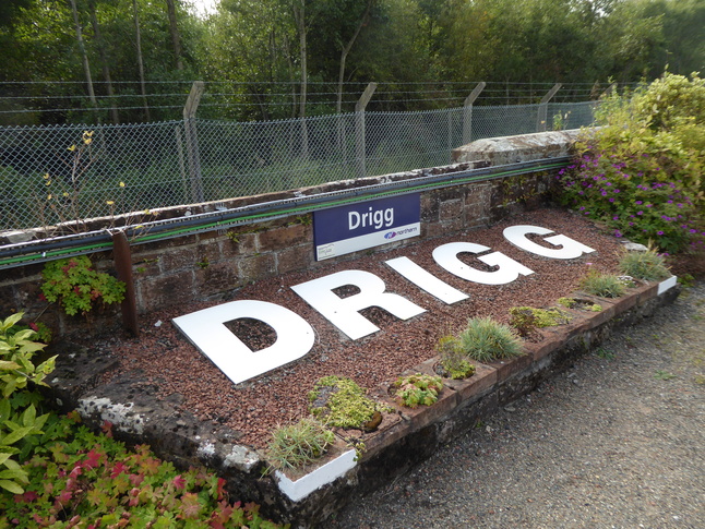 Drigg planter