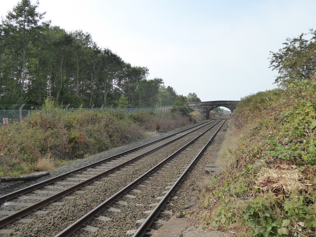 Drigg looking west