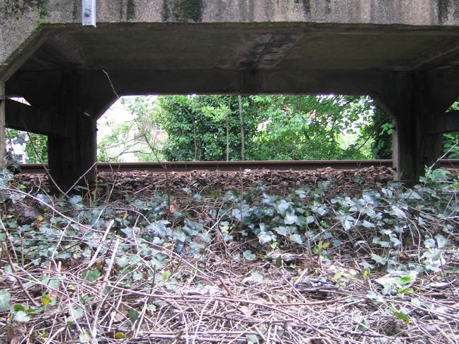 Falmouth Town rail level