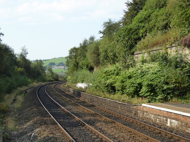 Greenfield looking west