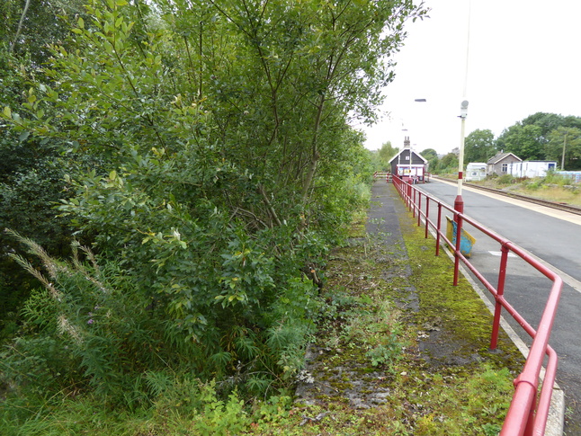 Haltwhistle disused platform
edge