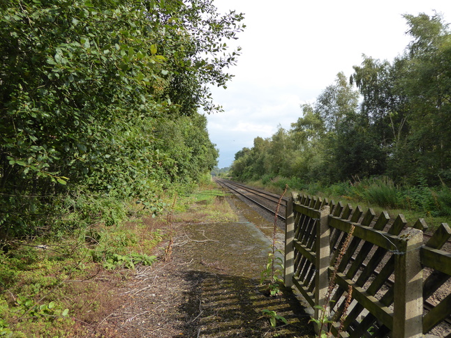 Haltwhistle looking east