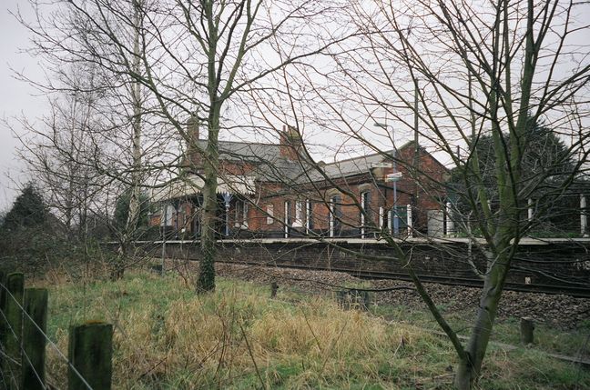 Lingwood through the trees