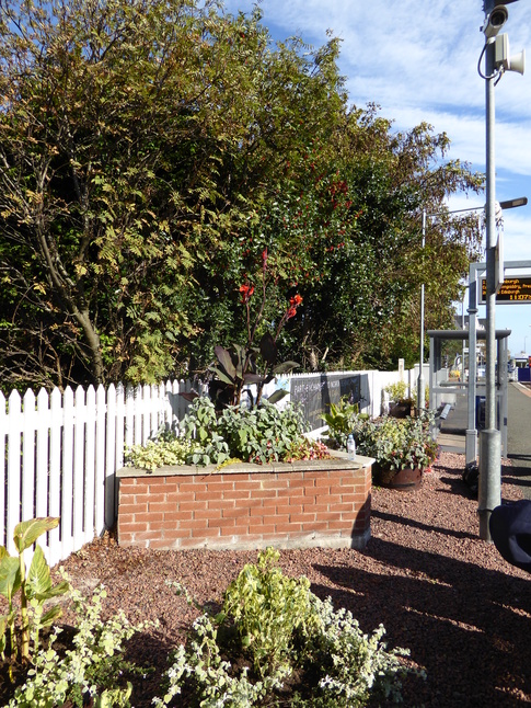 North Berwick planters