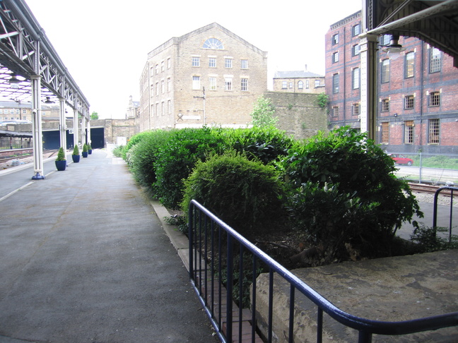 Huddersfield shrubbery
looking south