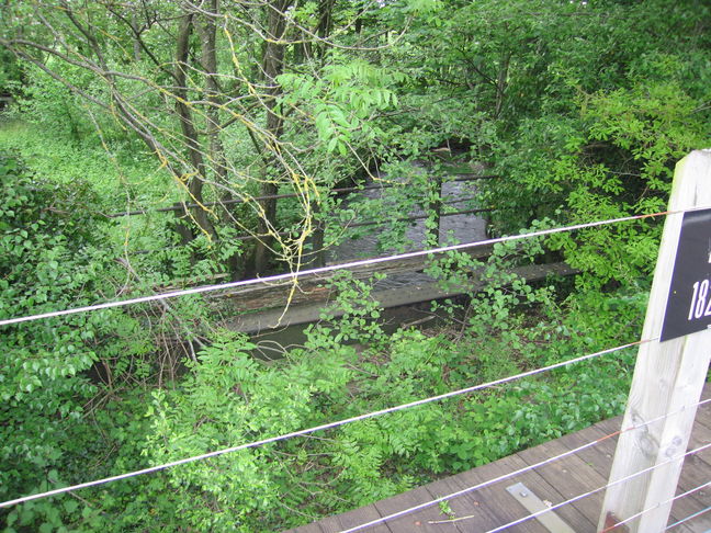 Yeoford platform bridges stream